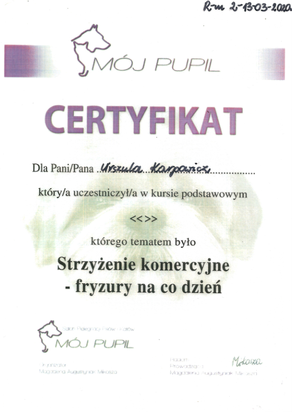 Strzyżenie komercyjne 2020